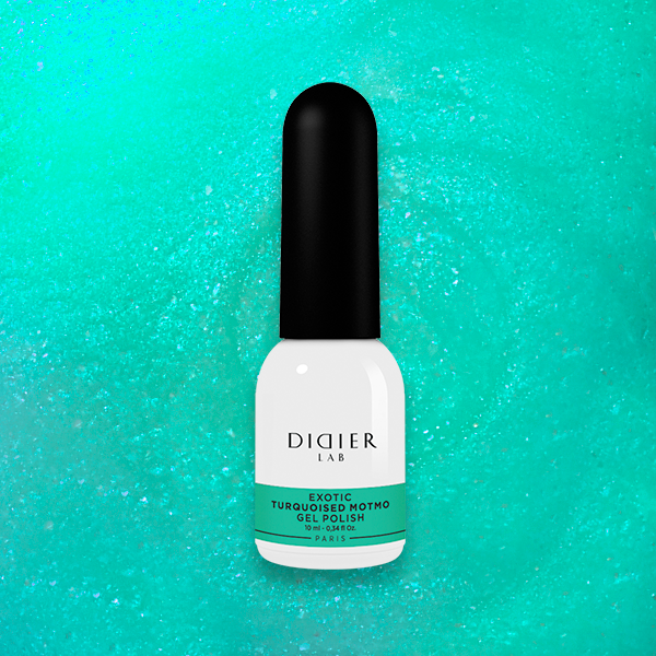 Didier Lab Gel Polish Exotic in Turquoised Motmo, 10 ml