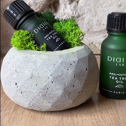 Didier Lab Tea Tree Nail and Cuticle Oil 15 ml